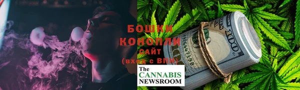 индика Покров