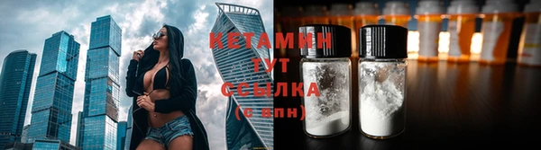 гидра Абаза