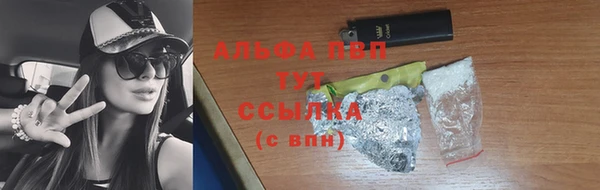 гидра Абаза
